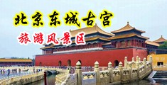 大鸡吧操良家骚逼色色网站中国北京-东城古宫旅游风景区